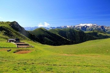 upland pastures grazing pyrenees france hiking